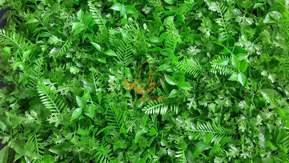 گرین وال مصنوعی طرح سیکاس گشنیز